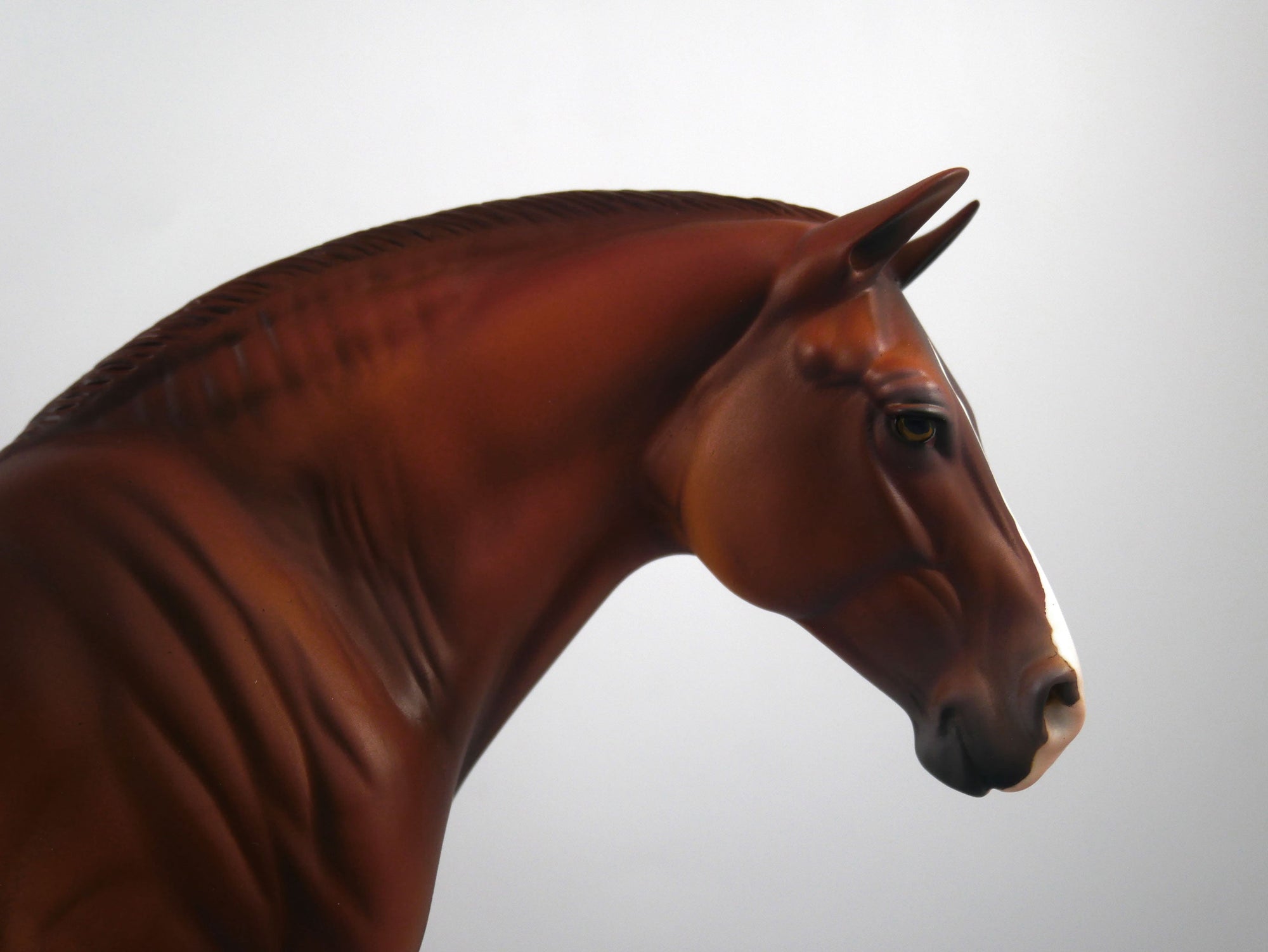 CHARGER-OOAK  Dapple Chestnut Heavy Draft Mare SB21