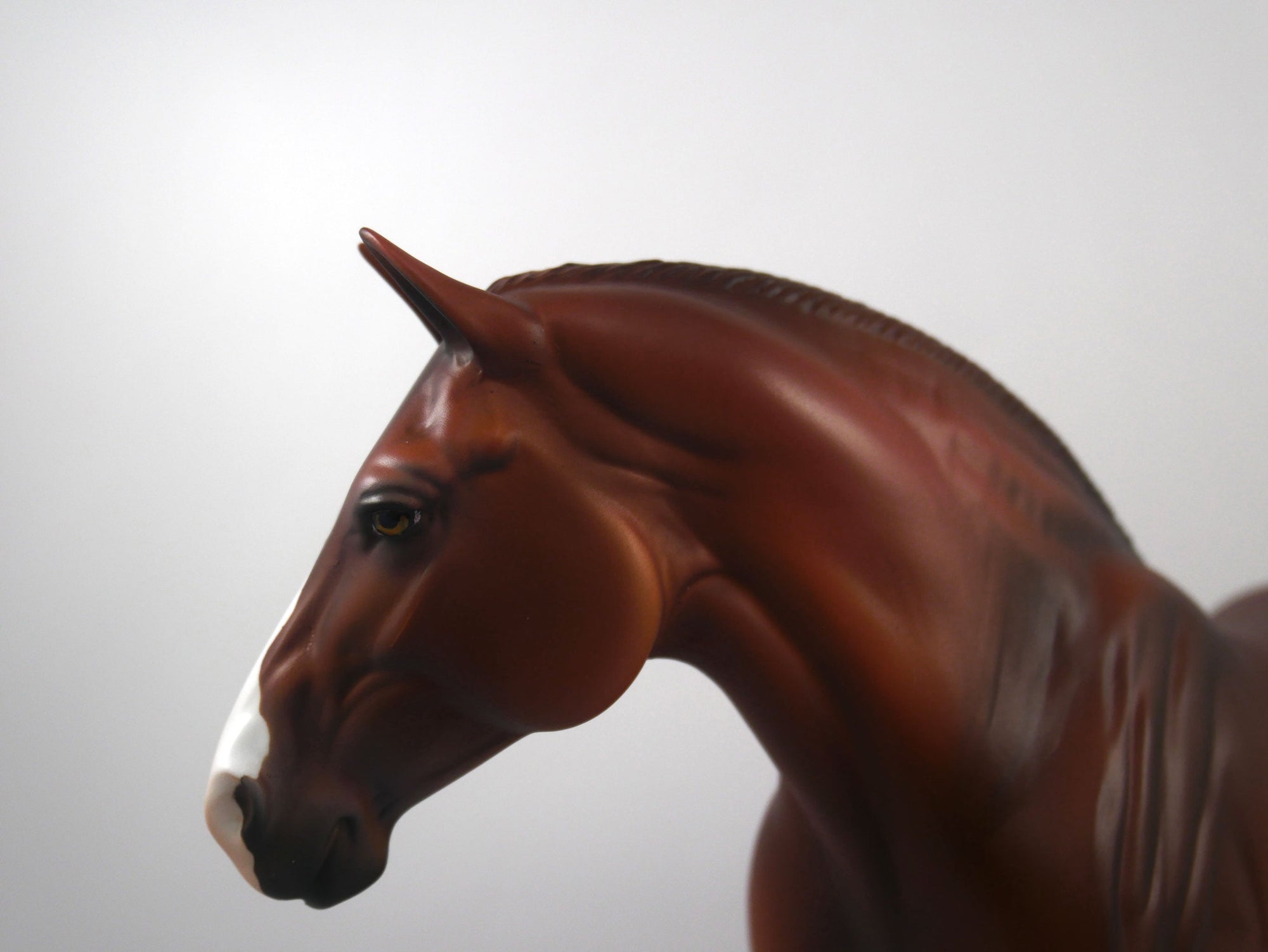 CHARGER-OOAK  Dapple Chestnut Heavy Draft Mare SB21