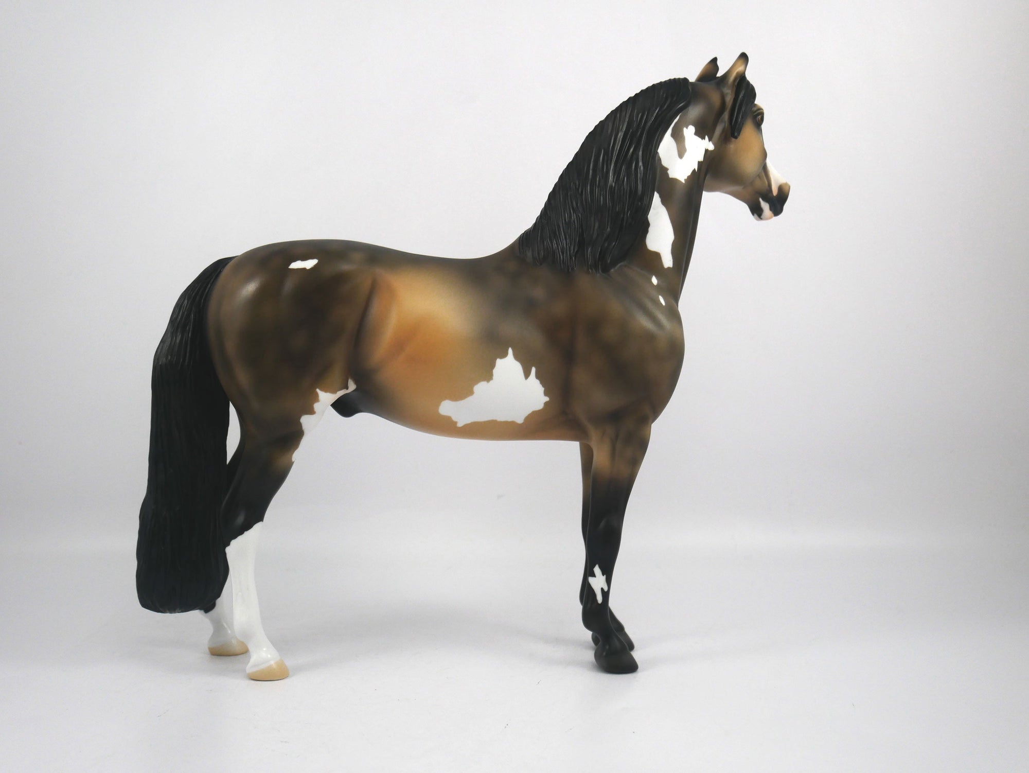 Charlie-OOAK Buckskin Paint Morgan by Ellen 1/29/21