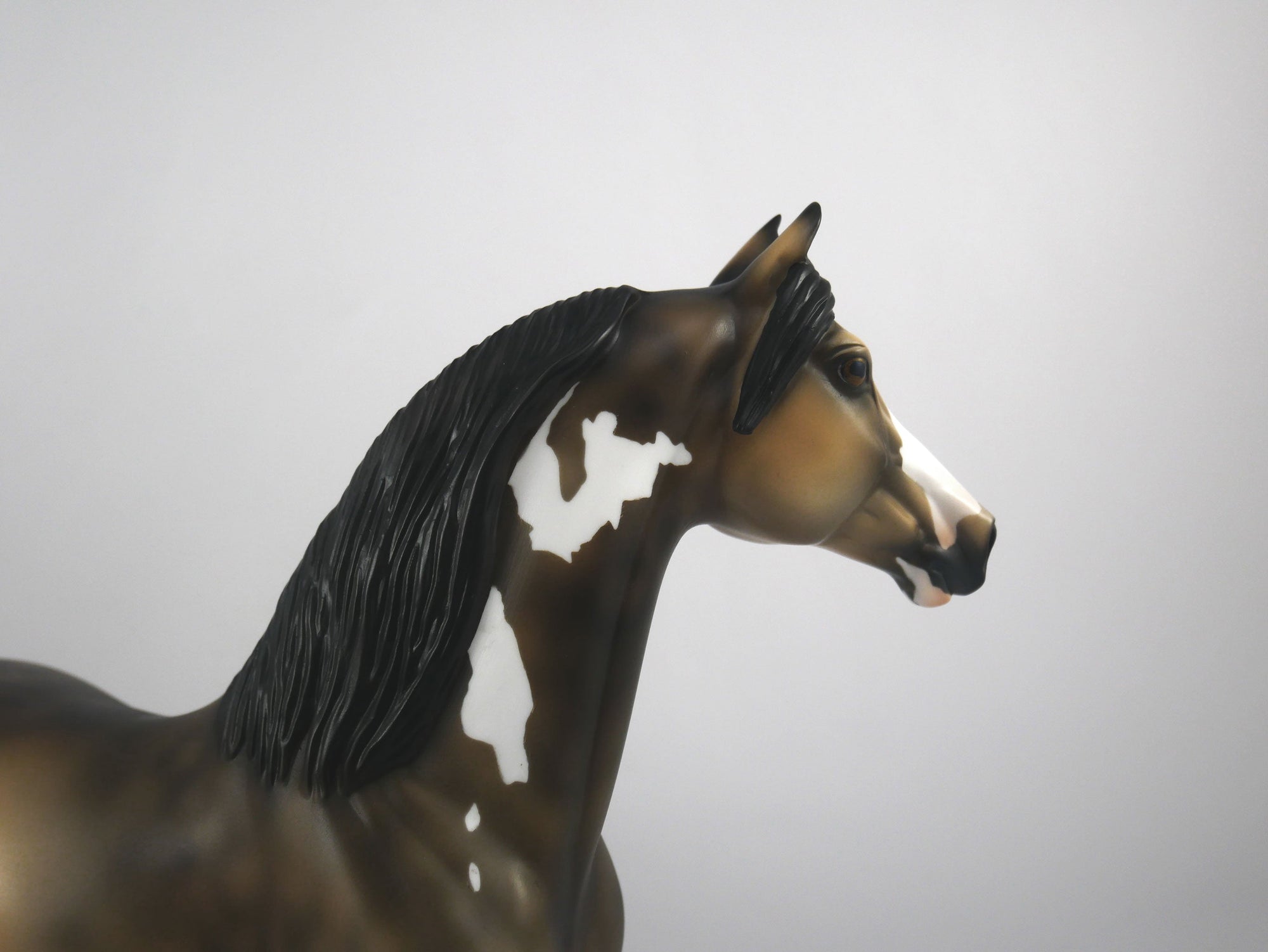 Charlie-OOAK Buckskin Paint Morgan by Ellen 1/29/21