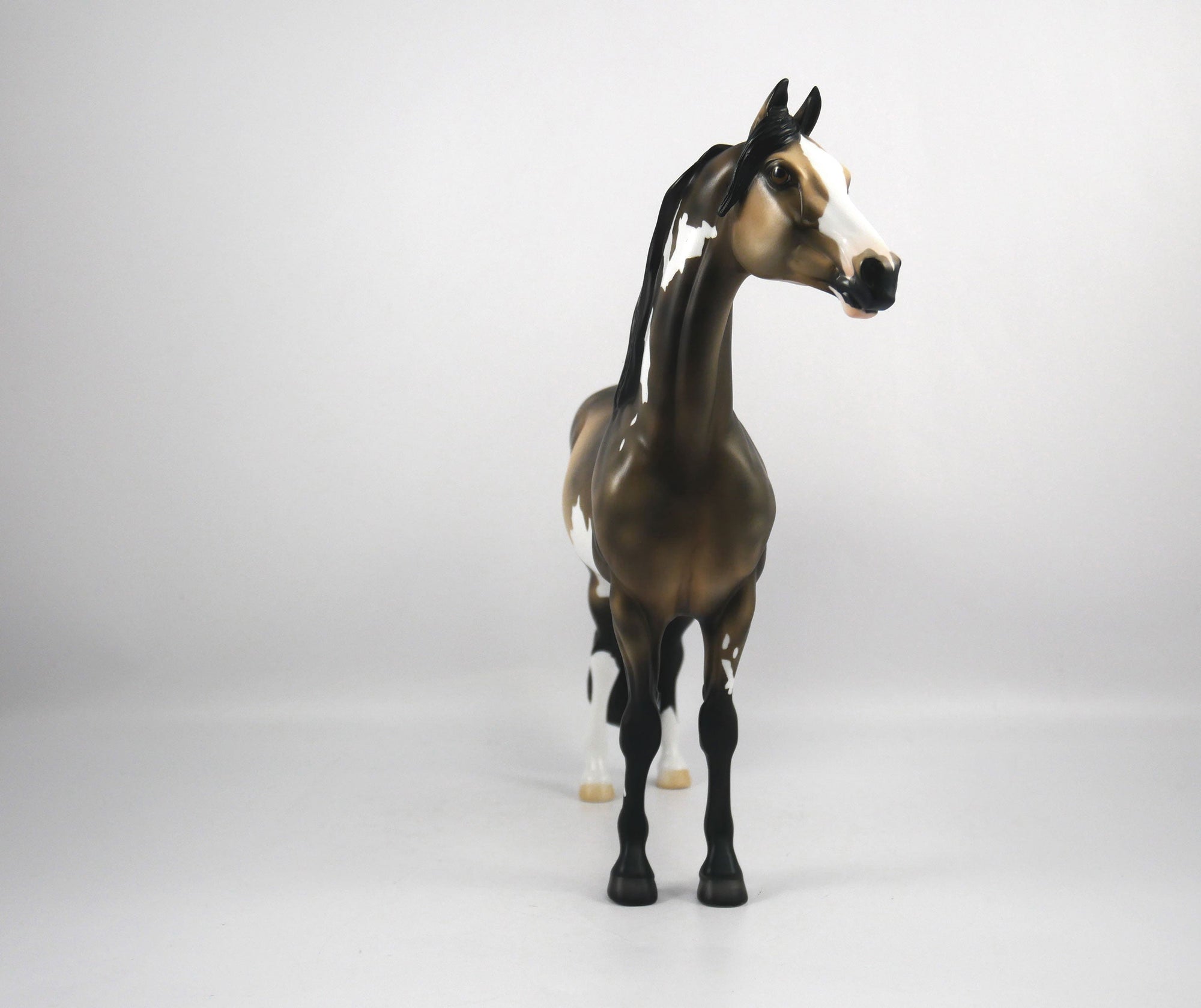 Charlie-OOAK Buckskin Paint Morgan by Ellen 1/29/21