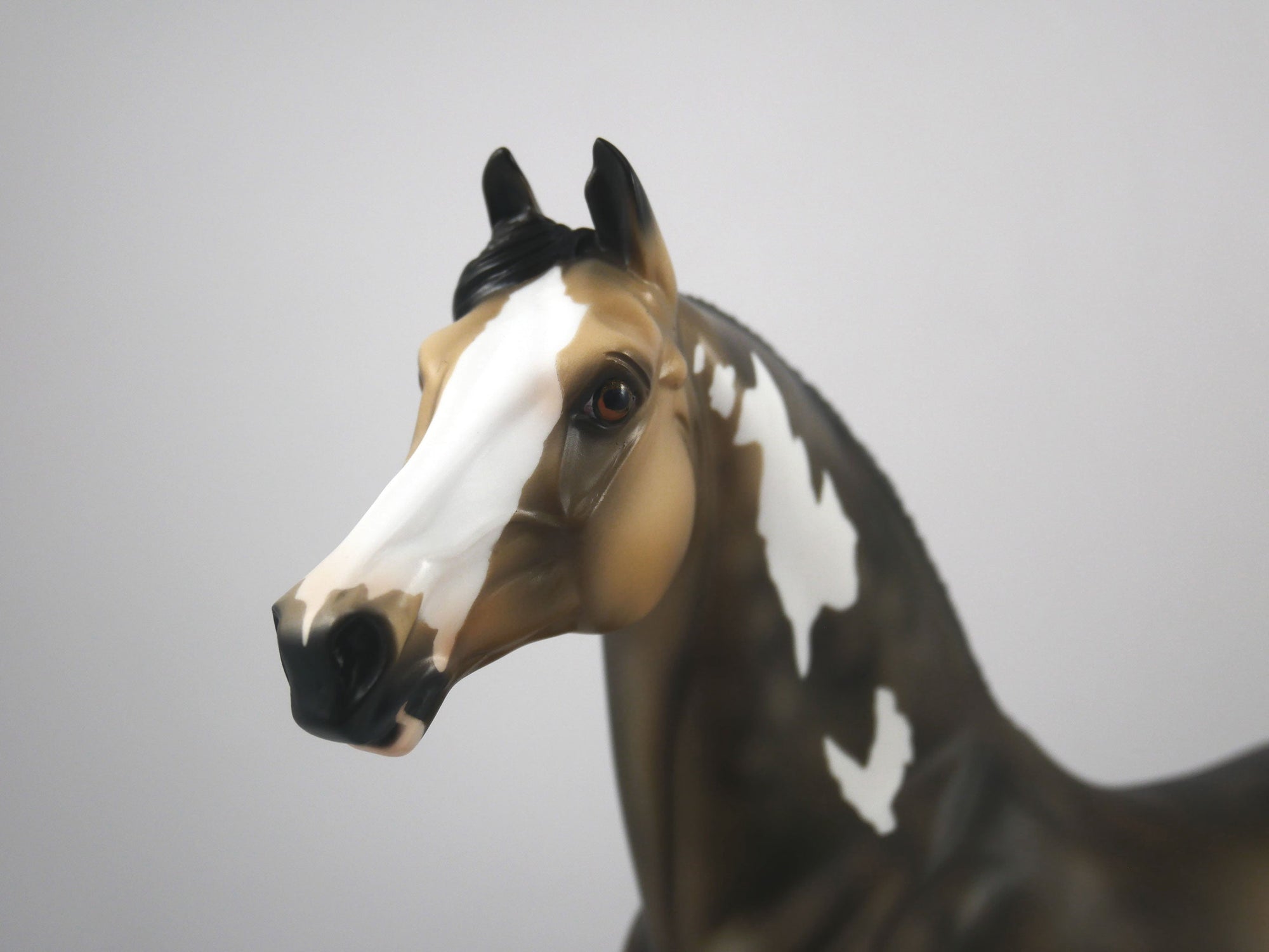 Charlie-OOAK Buckskin Paint Morgan by Ellen 1/29/21