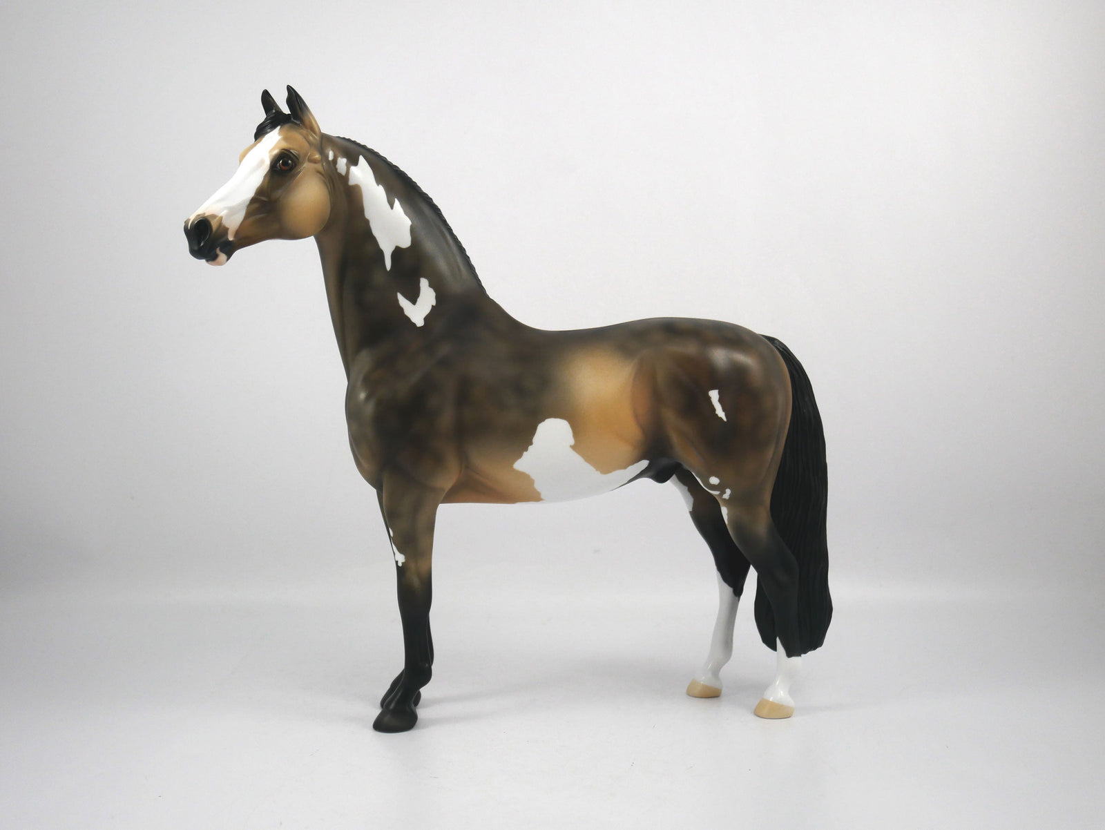 Charlie-OOAK Buckskin Paint Morgan by Ellen 1/29/21