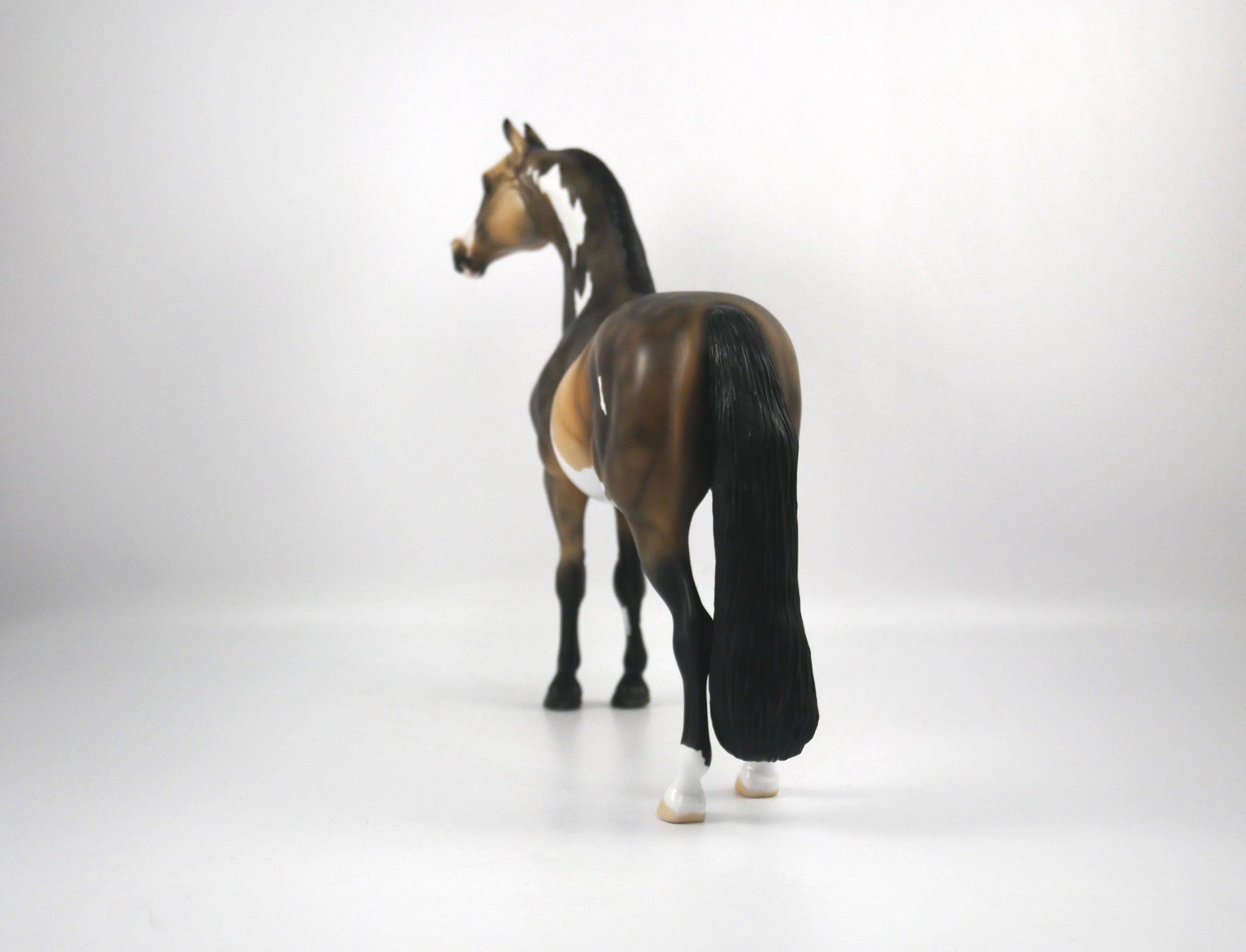 Charlie-OOAK Buckskin Paint Morgan by Ellen 1/29/21