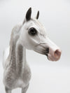 Charlie Snead - OOAK - Dapple Grey Arabian Stallion by Sheryl Leisure - Best Offers 12/12/22