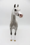 Charlie Snead - OOAK - Dapple Grey Arabian Stallion by Sheryl Leisure - Best Offers 12/12/22