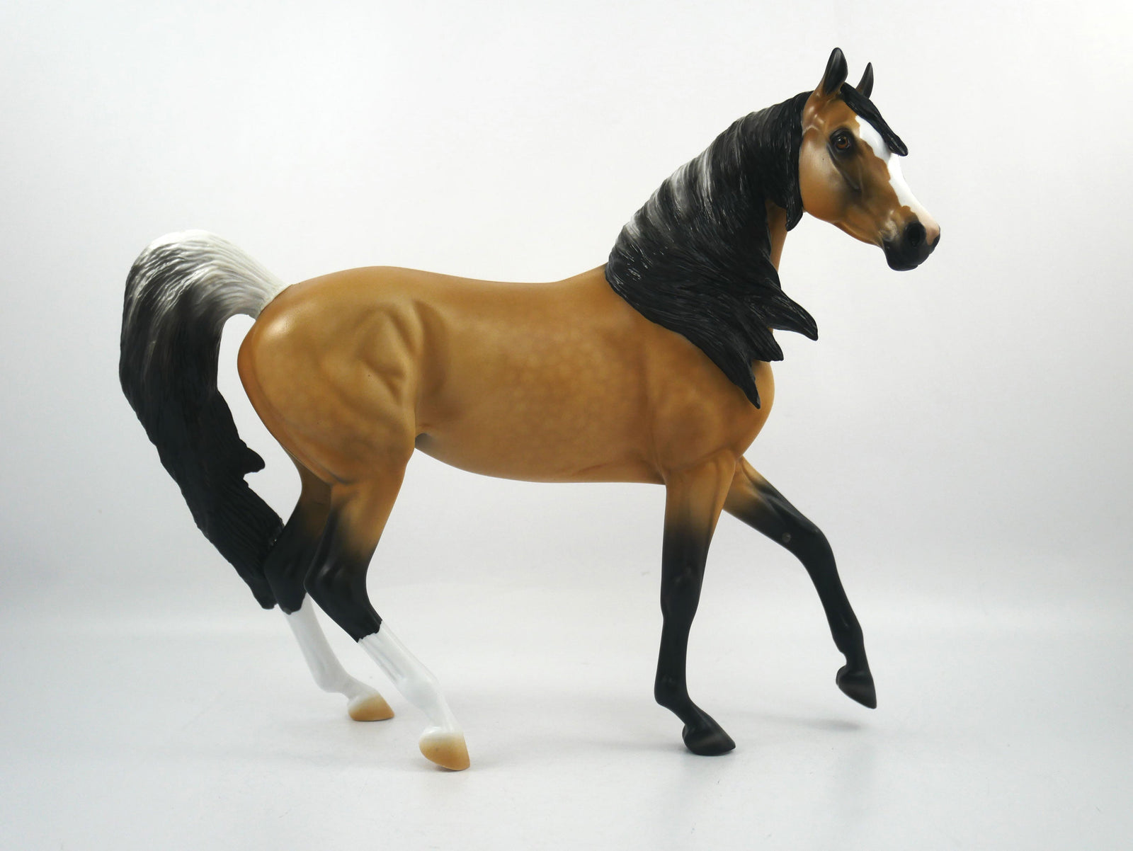 Cheerleader-LE-15 Buckskin Arabian Mare SB21