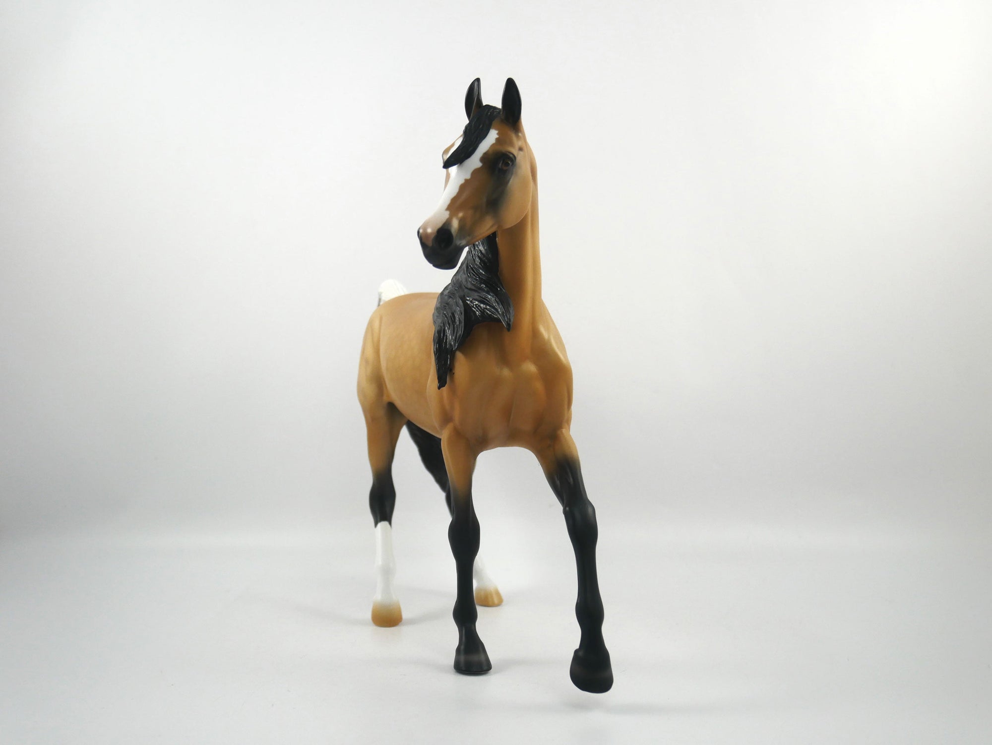 Cheerleader-LE-15 Buckskin Arabian Mare SB21