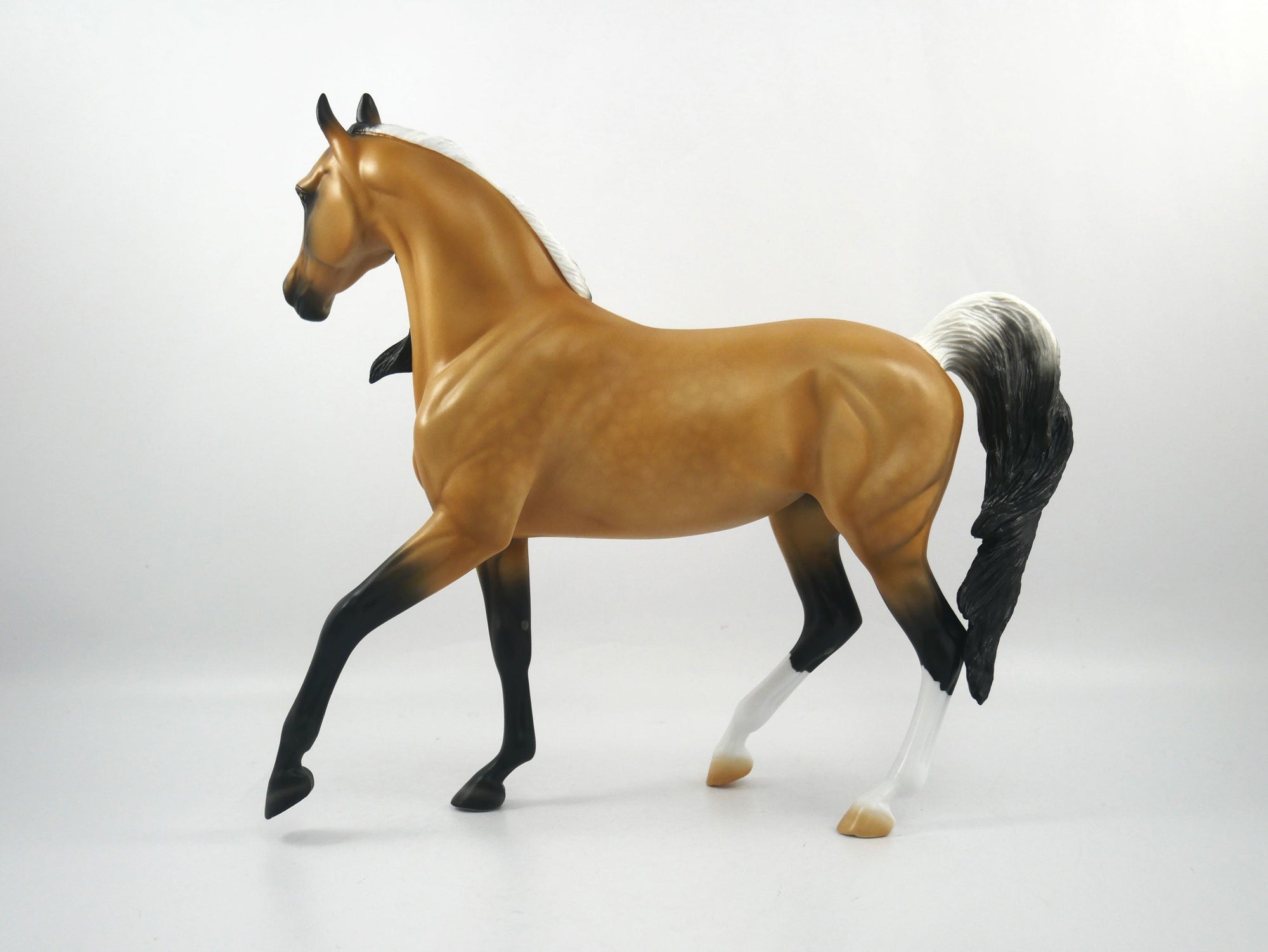 Cheerleader-LE-15 Buckskin Arabian Mare SB21