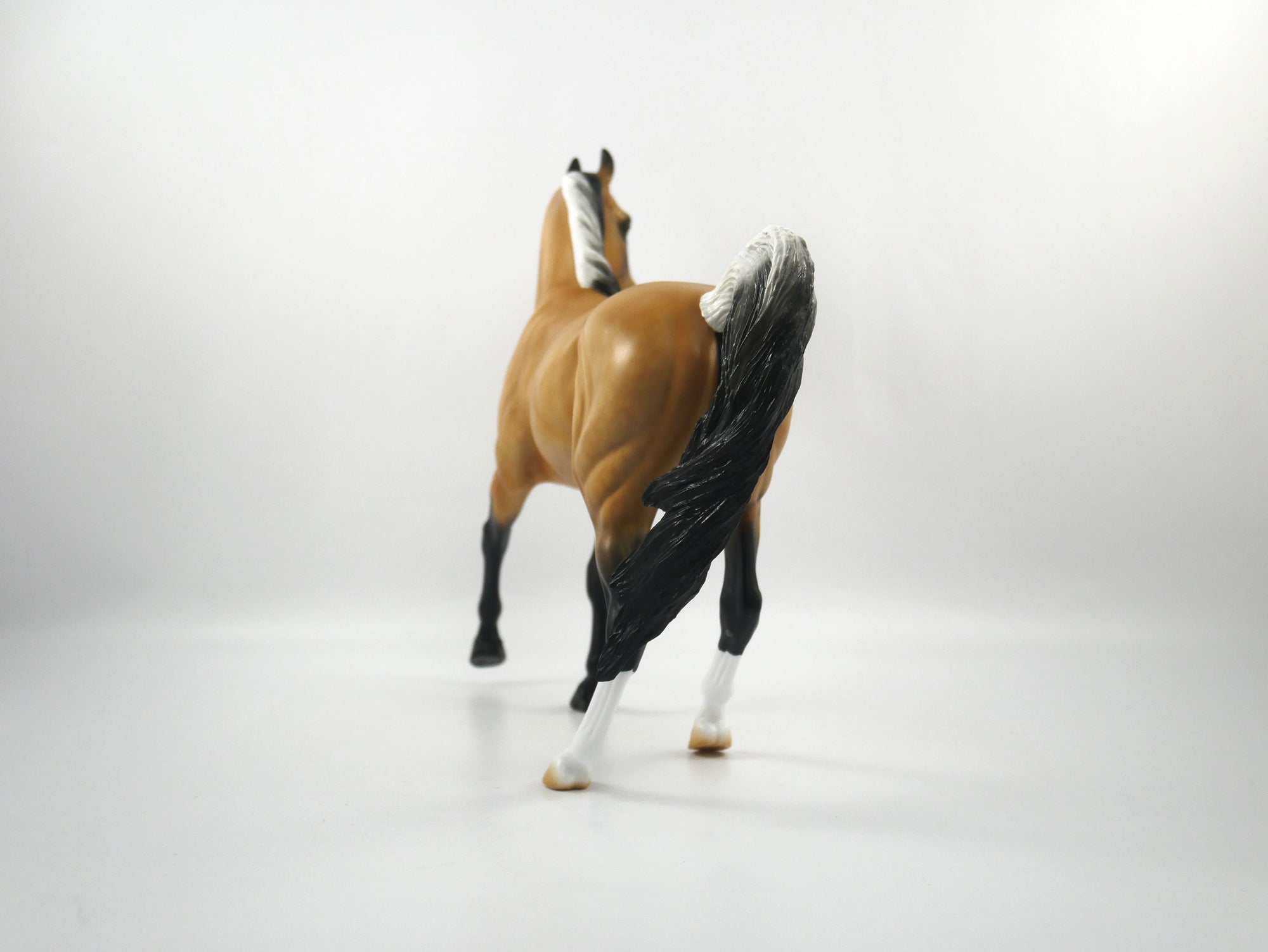 Cheerleader-LE-15 Buckskin Arabian Mare SB21