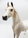 Chestnuts Roasting - OOAK - Dapple Chestnut Arabian By Al Katt- Christmas Tails 2022 - CT22