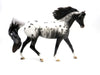 Cheyenne-OOAK Black Appaloosa Pony by Sheryl Leisure 9/6/22
