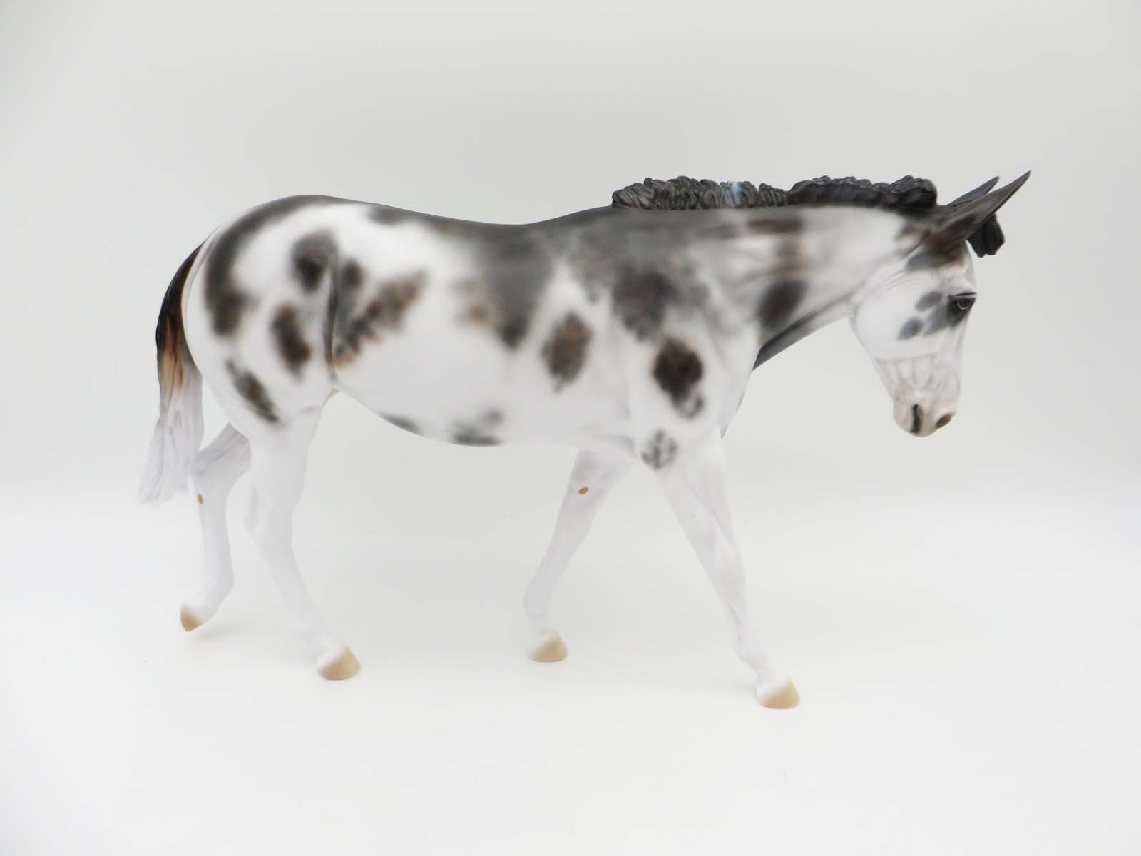 Chi Chi-OOAK Appaloosa Mule Dawn Quick P&C 23
