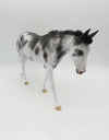 Chi Chi-OOAK Appaloosa Mule Dawn Quick P&amp;C 23