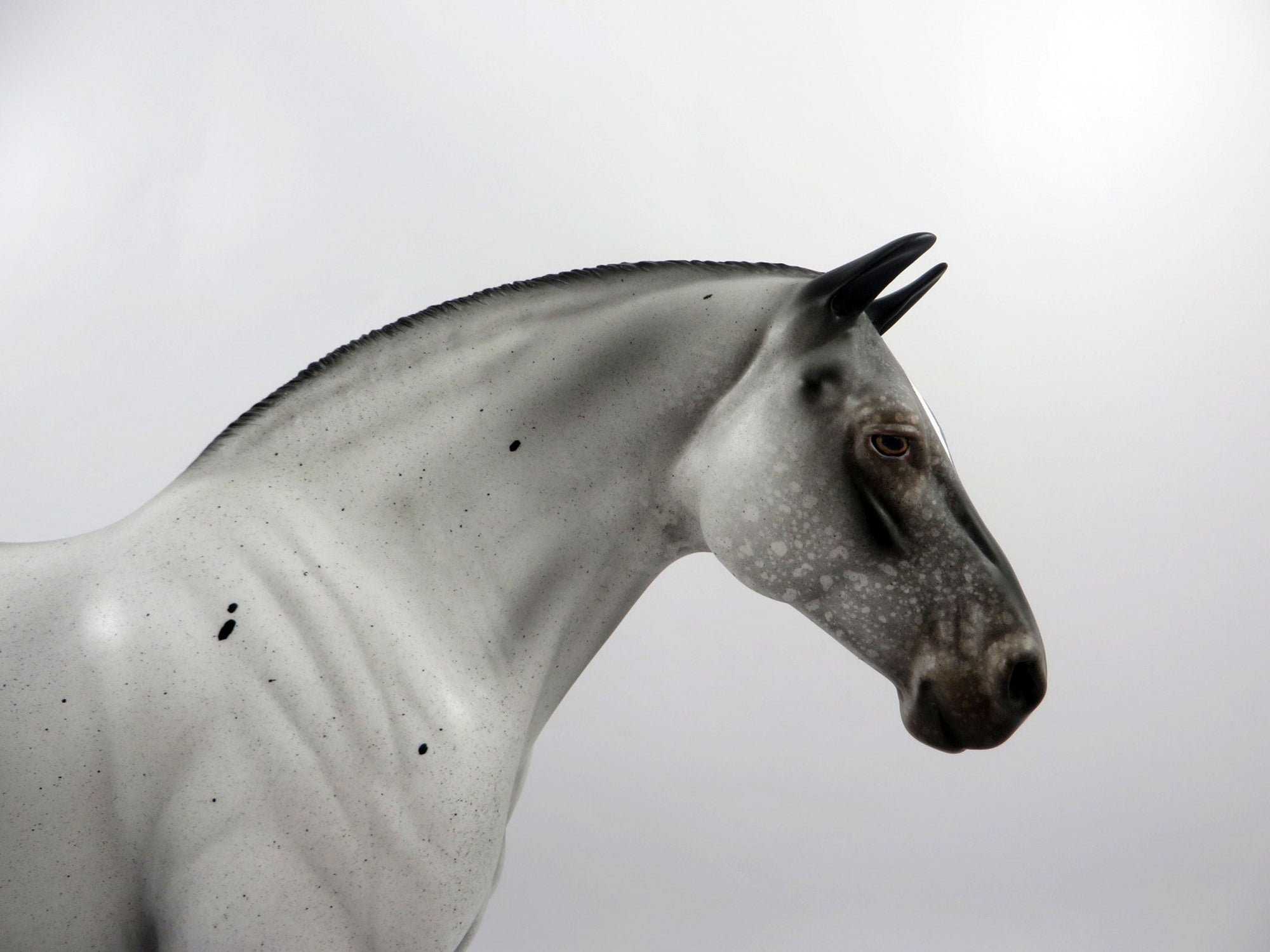 Chicken-OOAK Few Spot Appaloosa Heavy Draft Mare Bingo 3/18