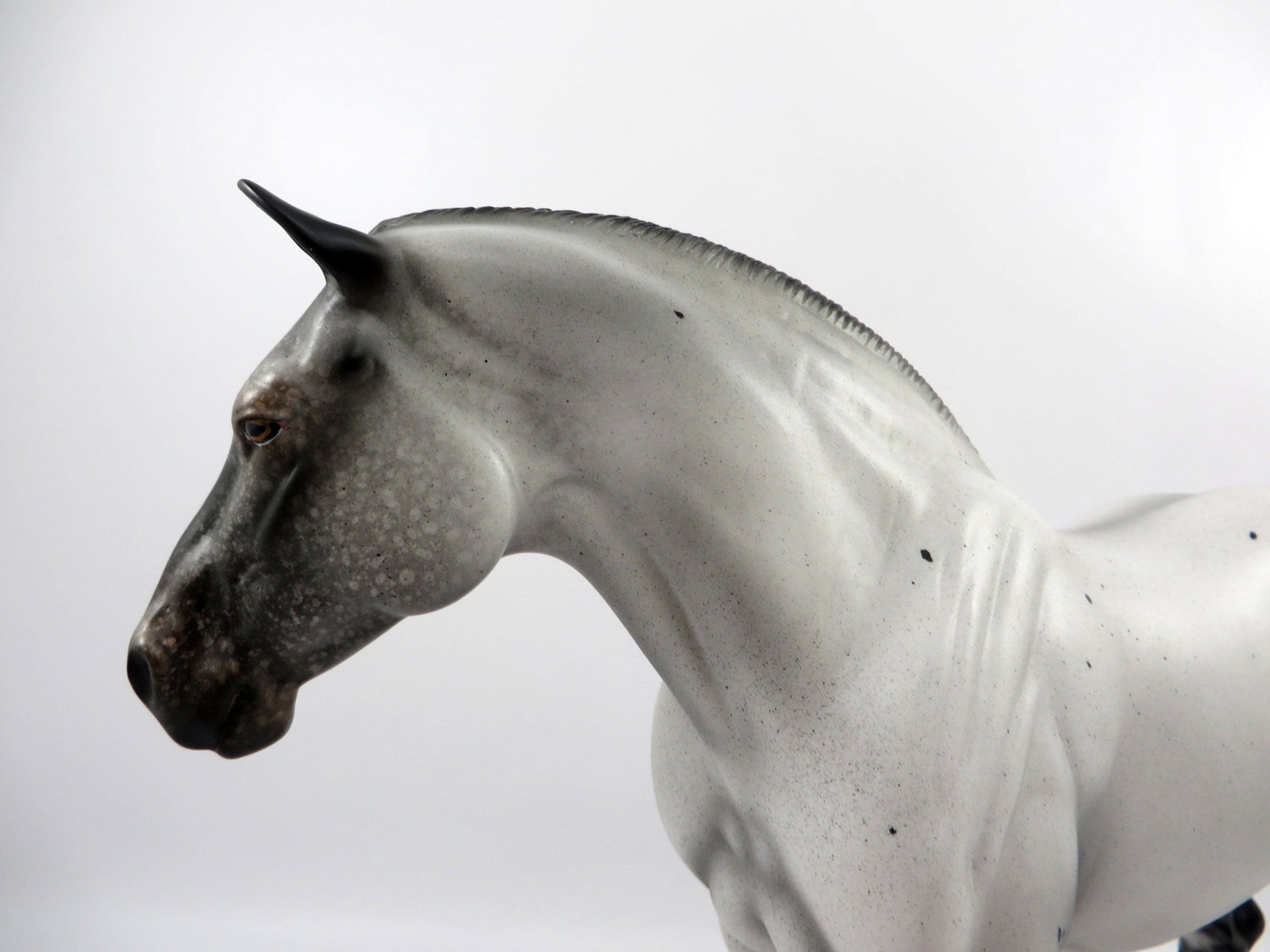 Chicken-OOAK Few Spot Appaloosa Heavy Draft Mare Bingo 3/18