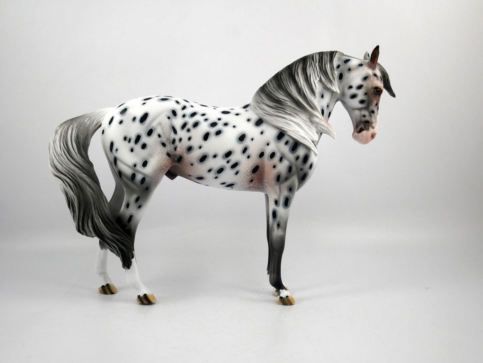 Chief-OOAK Loud Appaloosa Andalusian Painted by Dawn Quick SB21