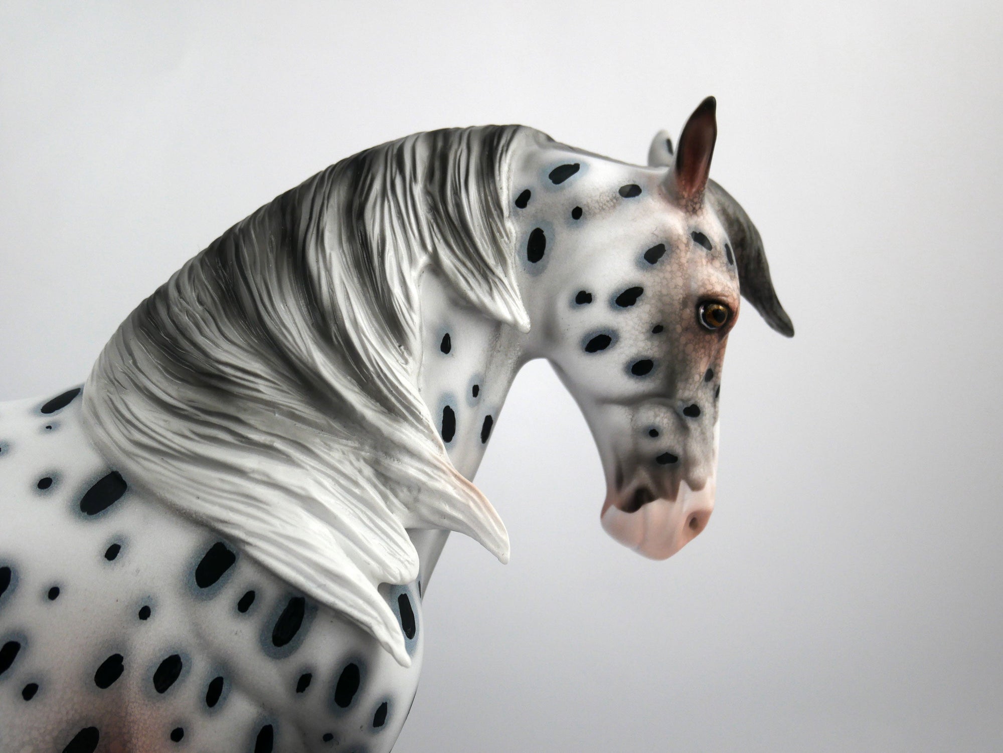 Chief-OOAK Loud Appaloosa Andalusian Painted by Dawn Quick SB21