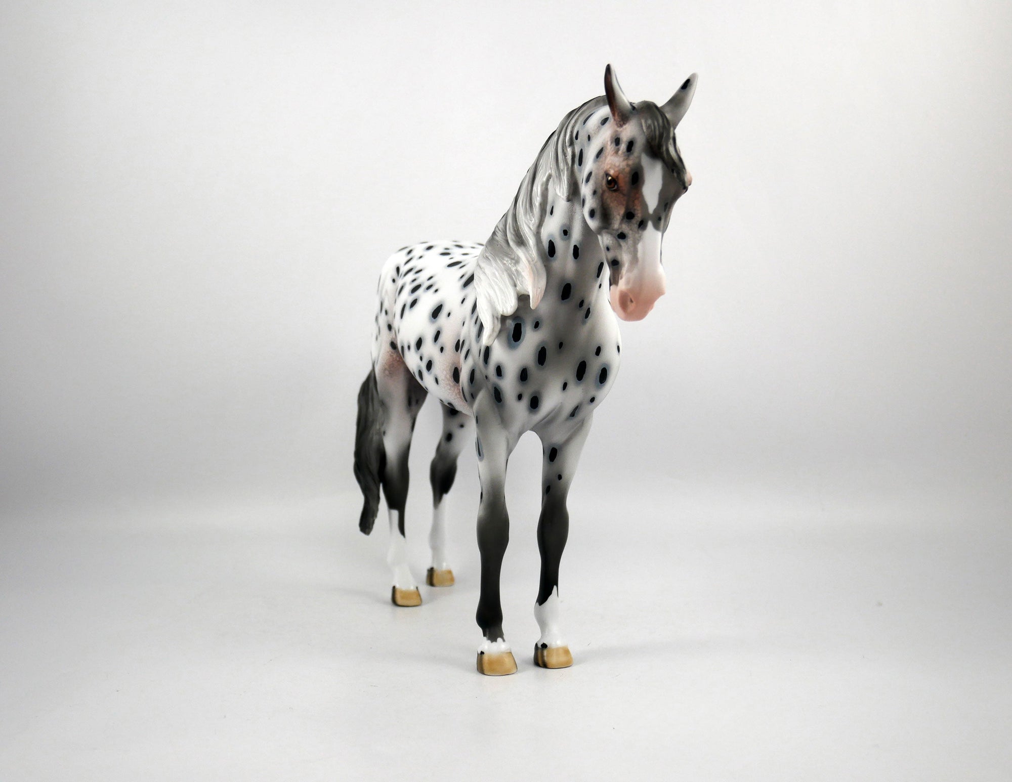 Chief-OOAK Loud Appaloosa Andalusian Painted by Dawn Quick SB21