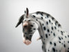 Chief-OOAK Loud Appaloosa Andalusian Painted by Dawn Quick SB21