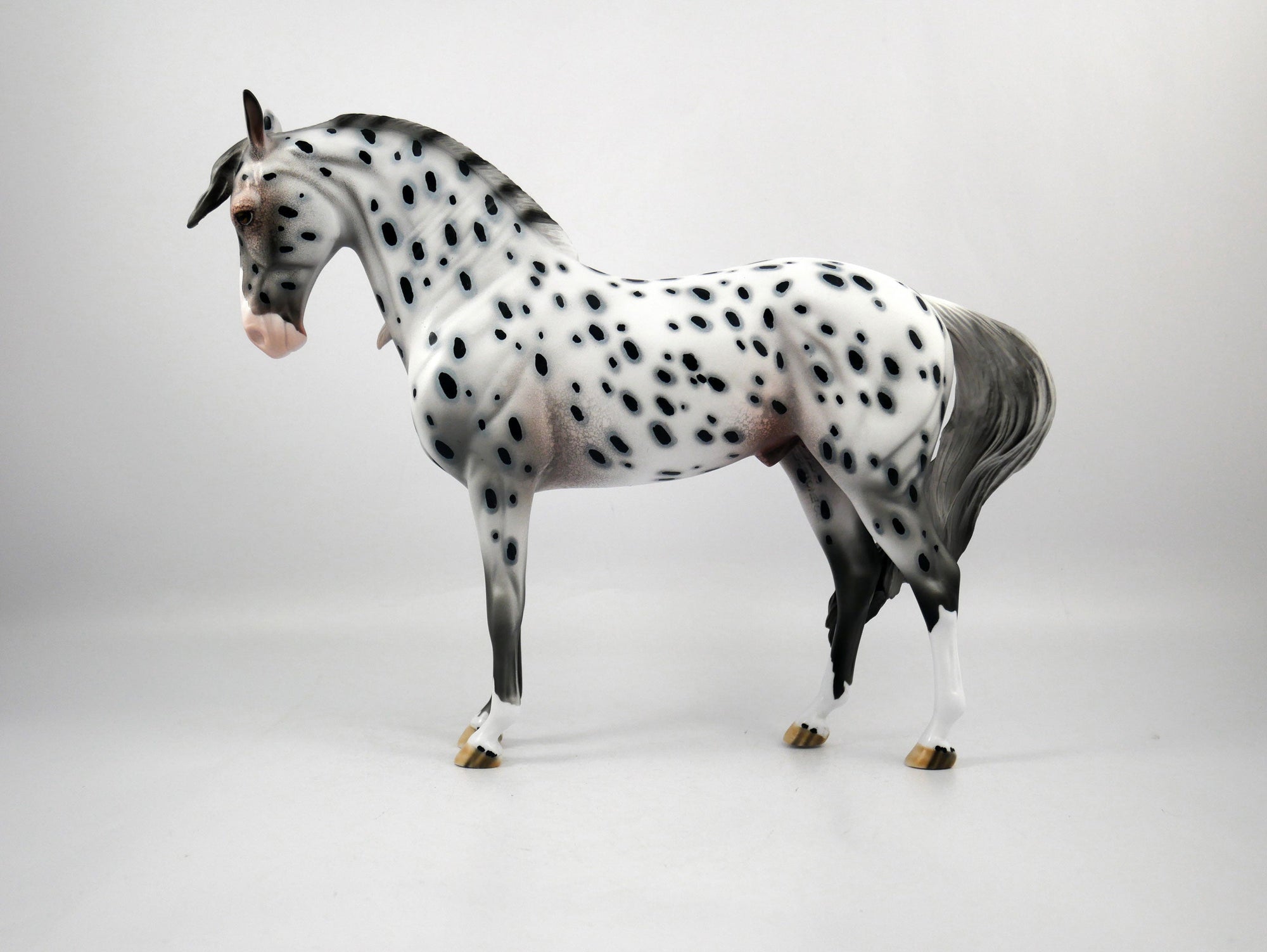 Chief-OOAK Loud Appaloosa Andalusian Painted by Dawn Quick SB21