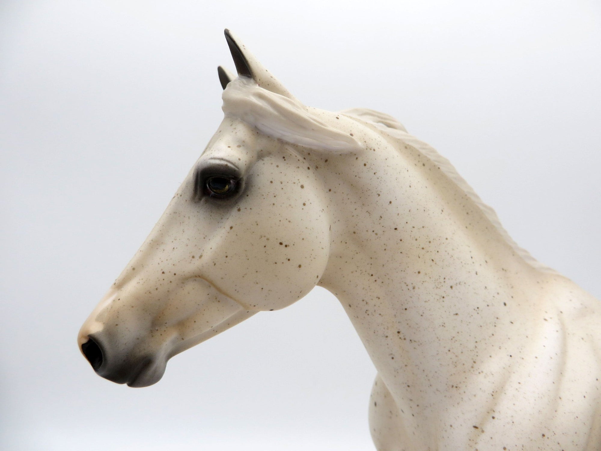 Chocolate Chip Cookie Dough-OOAK Foundation Stock Horse by Audrey Dixon 7/23/21