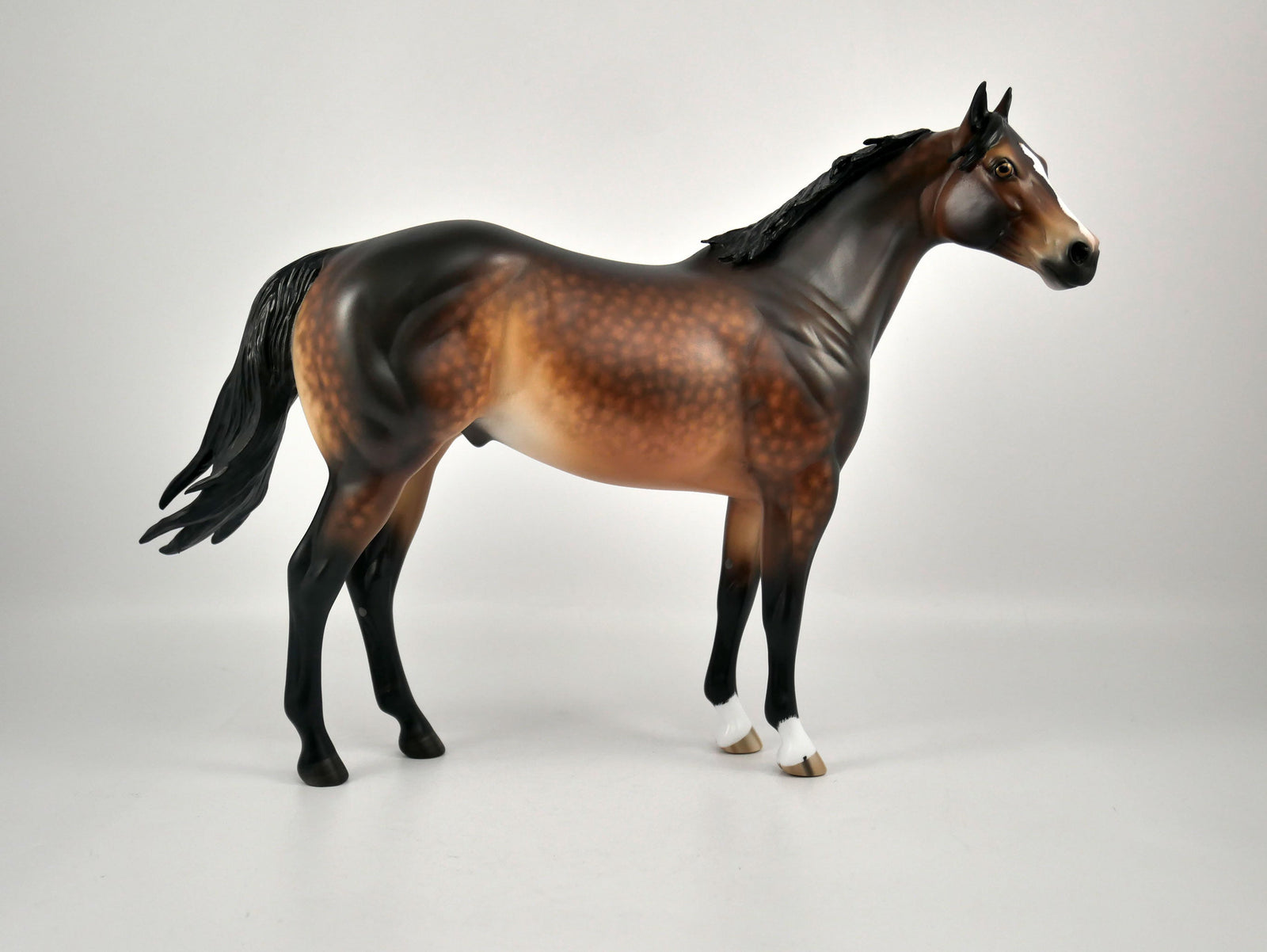 CHOCOLATE CUSTARD-OOAK DAPPLE BAY ISH BY SHERYL LEISURE 12/09/20