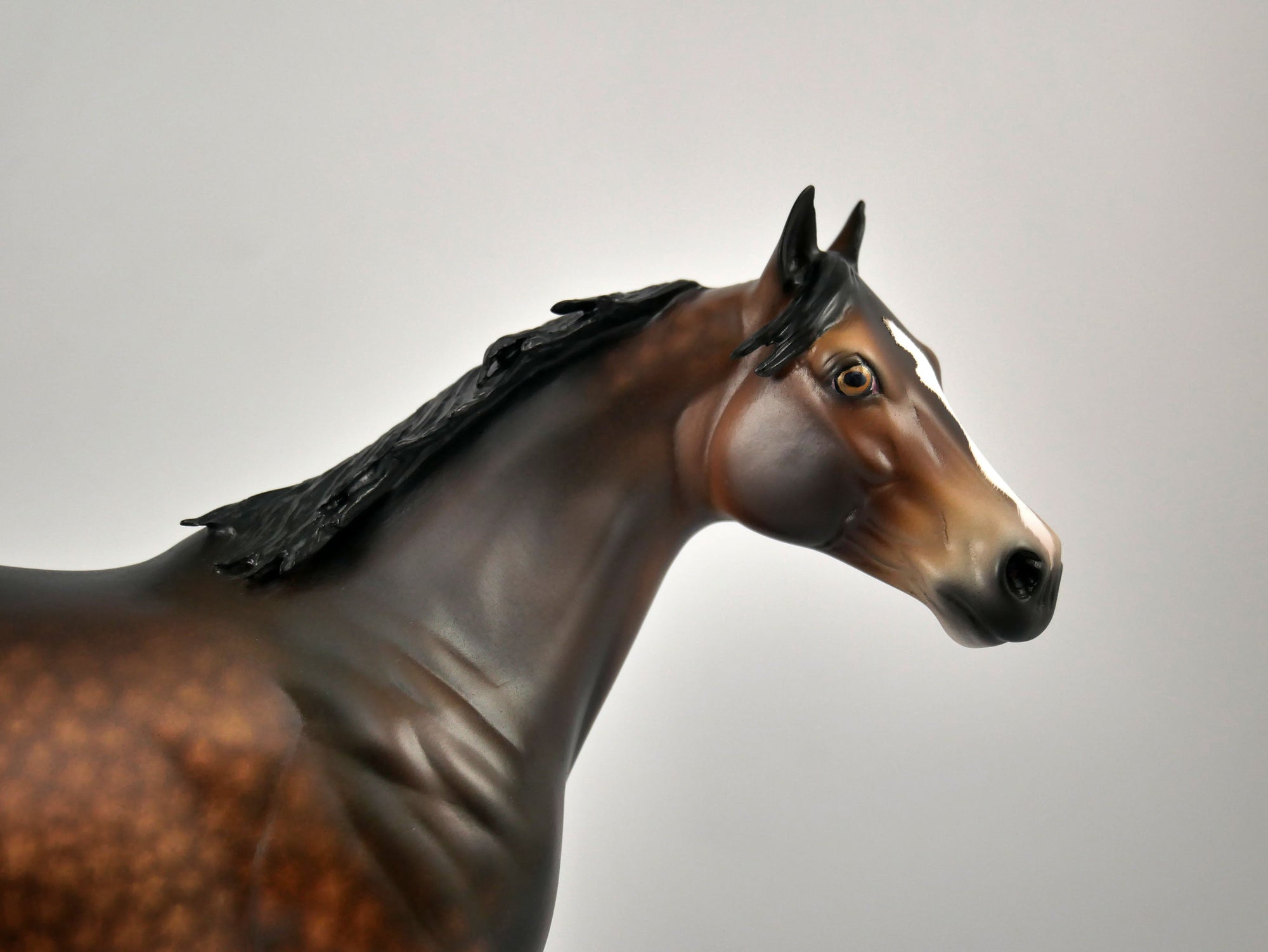 CHOCOLATE CUSTARD-OOAK DAPPLE BAY ISH BY SHERYL LEISURE 12/09/20