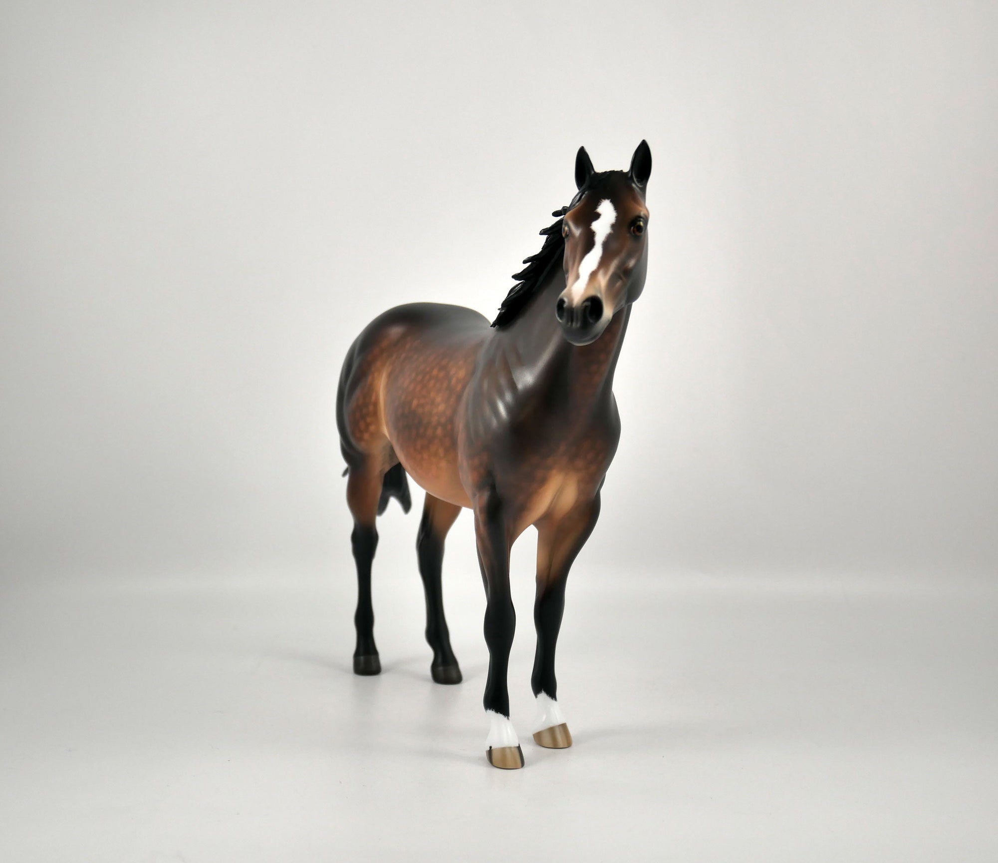 CHOCOLATE CUSTARD-OOAK DAPPLE BAY ISH BY SHERYL LEISURE 12/09/20