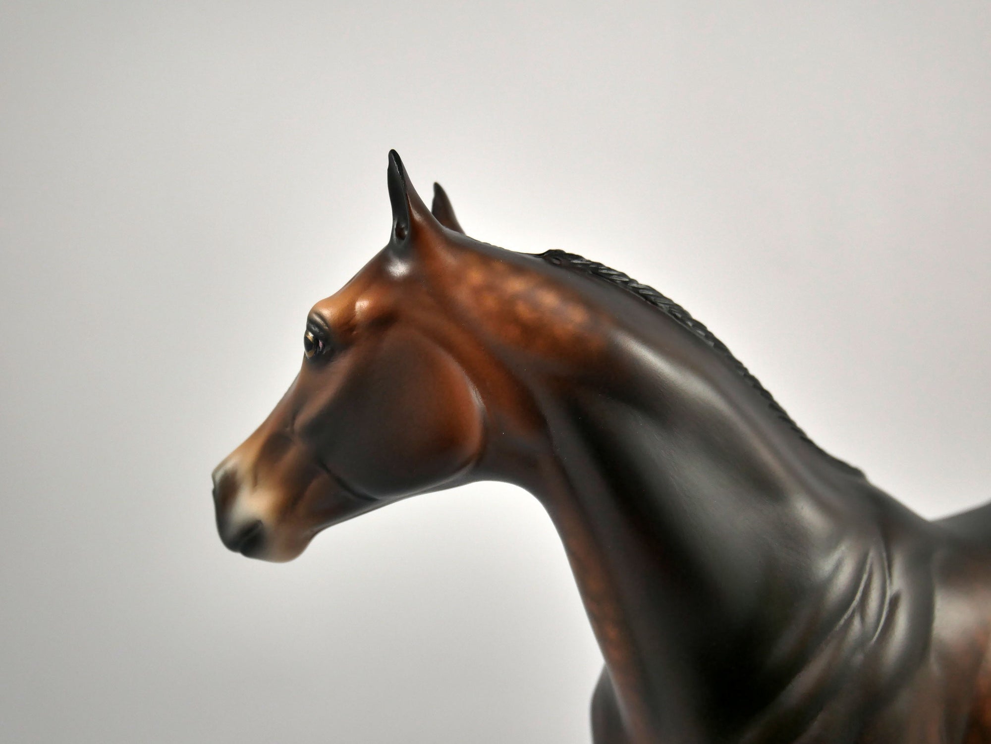 CHOCOLATE CUSTARD-OOAK DAPPLE BAY ISH BY SHERYL LEISURE 12/09/20