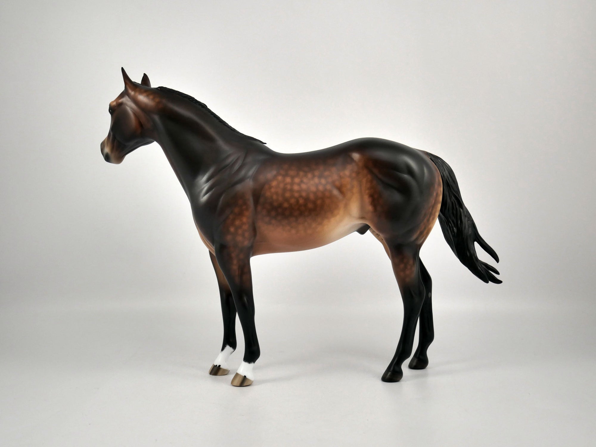 CHOCOLATE CUSTARD-OOAK DAPPLE BAY ISH BY SHERYL LEISURE 12/09/20