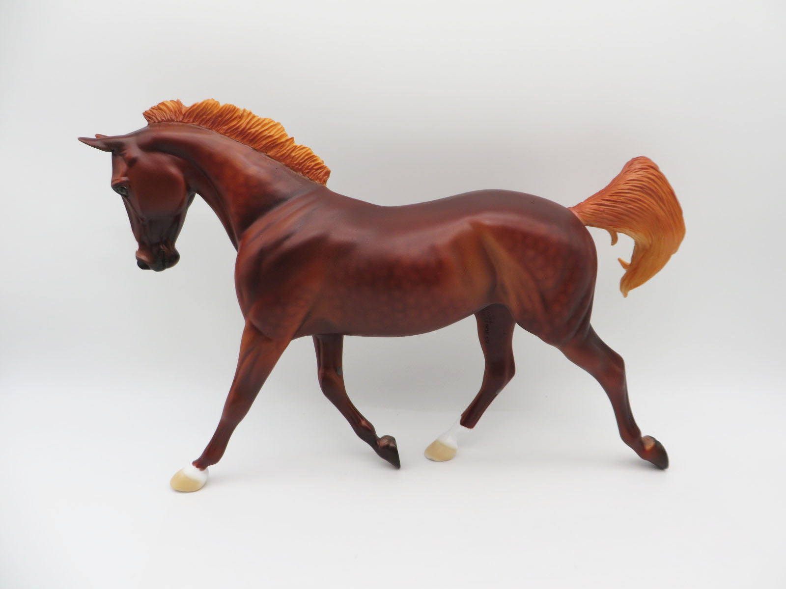 Cinnamon - LE-8 Dappled Chestnut Palouse By Dawn Quick P&amp;C 23