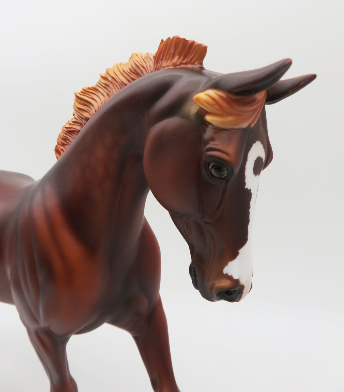 Cinnamon - LE-8 Dappled Chestnut Palouse By Dawn Quick P&amp;C 23