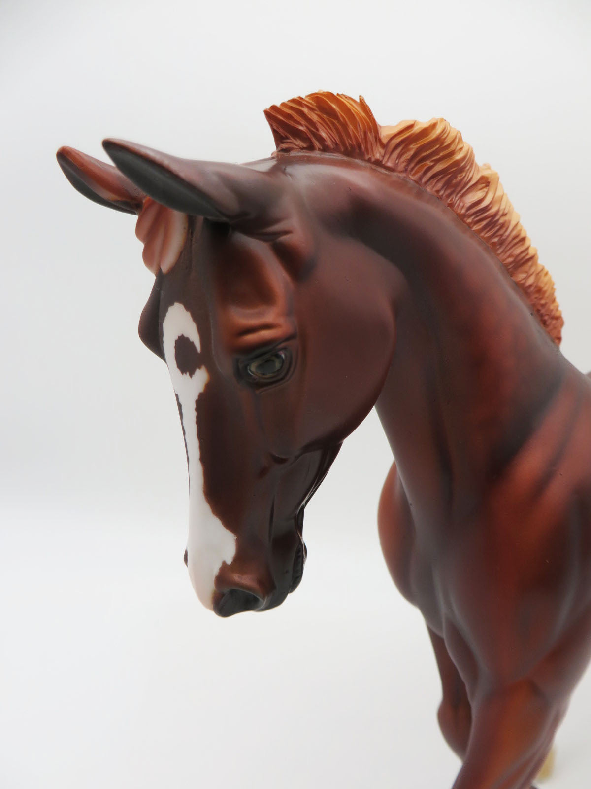 Cinnamon - LE-8 Dappled Chestnut Palouse By Dawn Quick P&amp;C 23