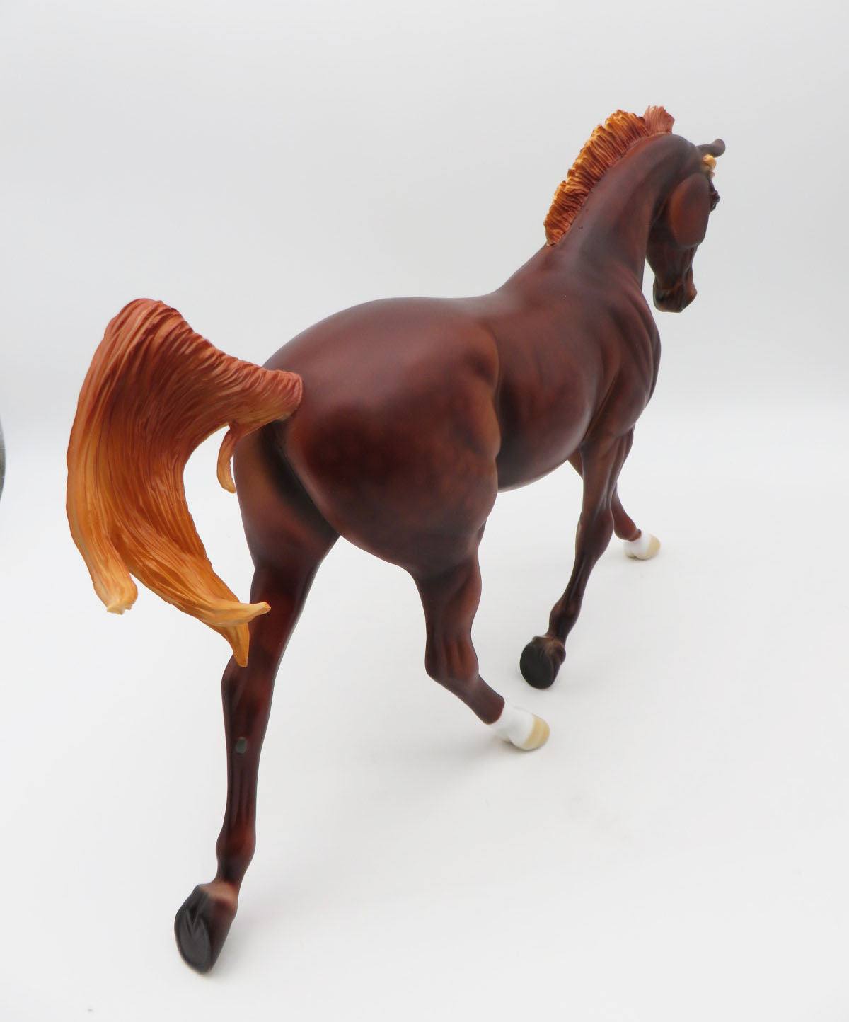 Cinnamon - LE-8 Dappled Chestnut Palouse By Dawn Quick P&amp;C 23