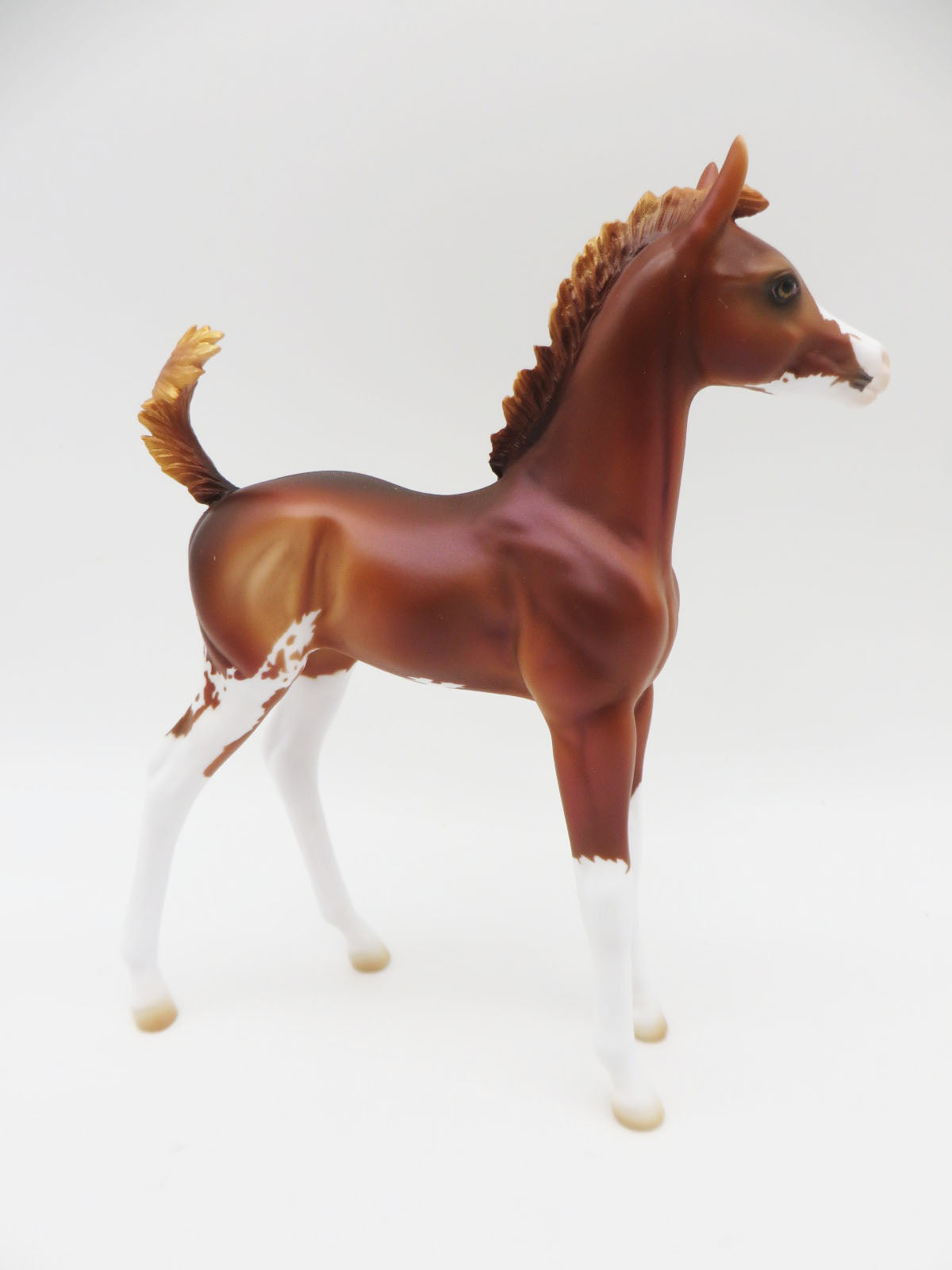 Cinnamon Twist - LE 15 - Customized Chestnut Arab Foal by Ashley Palmer - Christmas Tails 2022 - CT22
