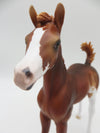 Cinnamon Twist - LE 15 - Customized Chestnut Arab Foal by Ashley Palmer - Christmas Tails 2022 - CT22