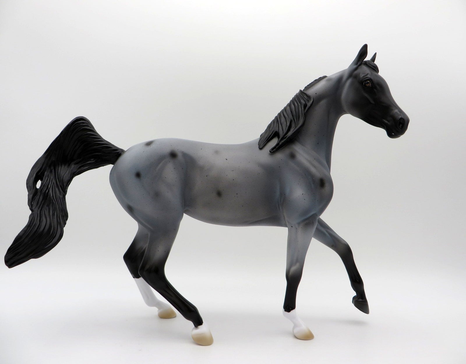 Cirroc-OOAK Blue Roan Arabian Mare  SHCF 2021