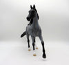 Cirroc-OOAK Blue Roan Arabian Mare  SHCF 2021