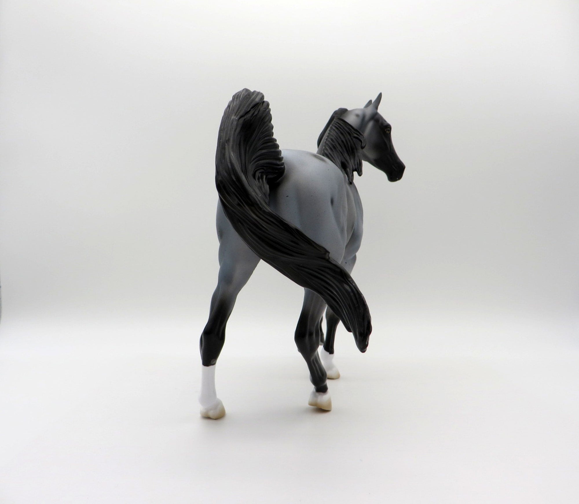 Cirroc-OOAK Blue Roan Arabian Mare  SHCF 2021