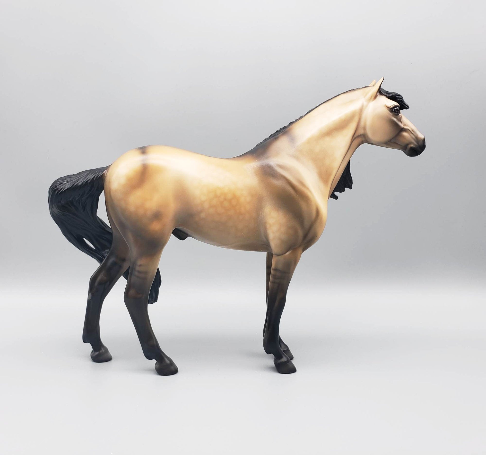 Cisco - OOAK - Custom Dun Mustang by Dawn Quick EQ23