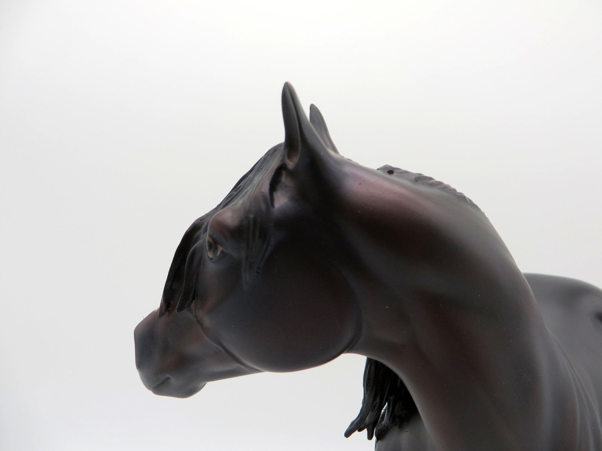 Claude-OOAK Sunburnt Black Overo ISH  Equilocity 2021 Painted by Julie Keim