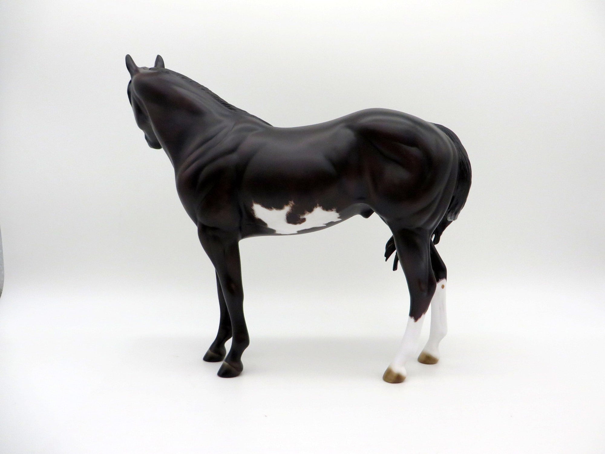 Claude-OOAK Sunburnt Black Overo ISH  Equilocity 2021 Painted by Julie Keim