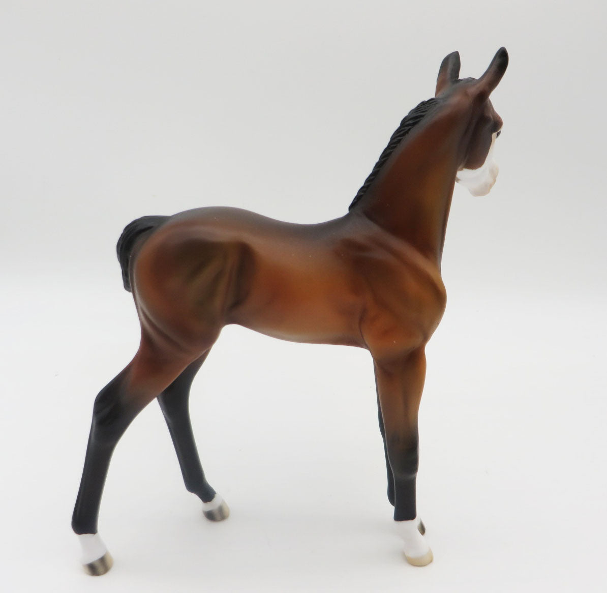 Cleo-OOAK Bay Foal by Angela Marleau P&amp;C 23