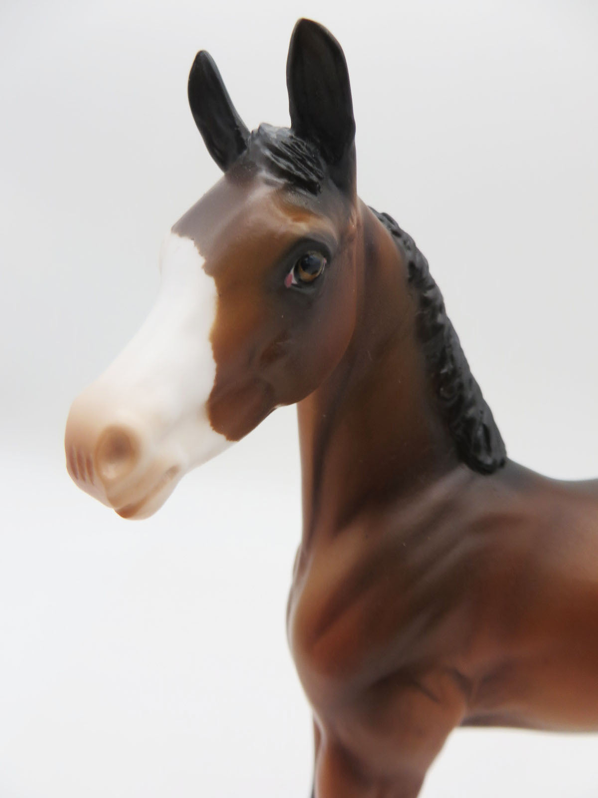 Cleo-OOAK Bay Foal by Angela Marleau P&amp;C 23