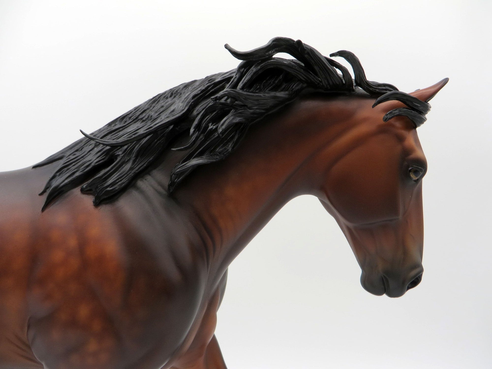 Cliffhanger-OOAK Dapple Bay Irish Drafter SHCF 21