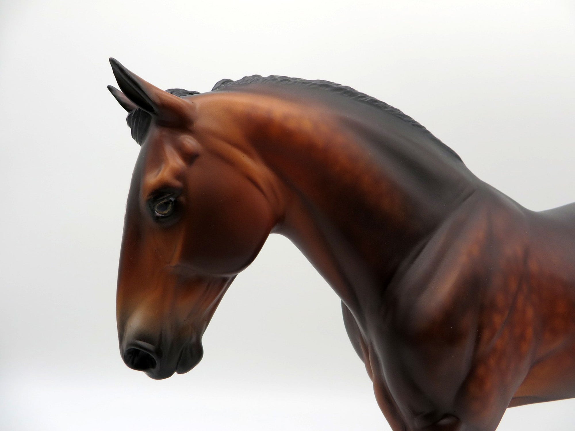 Cliffhanger-OOAK Dapple Bay Irish Drafter SHCF 21