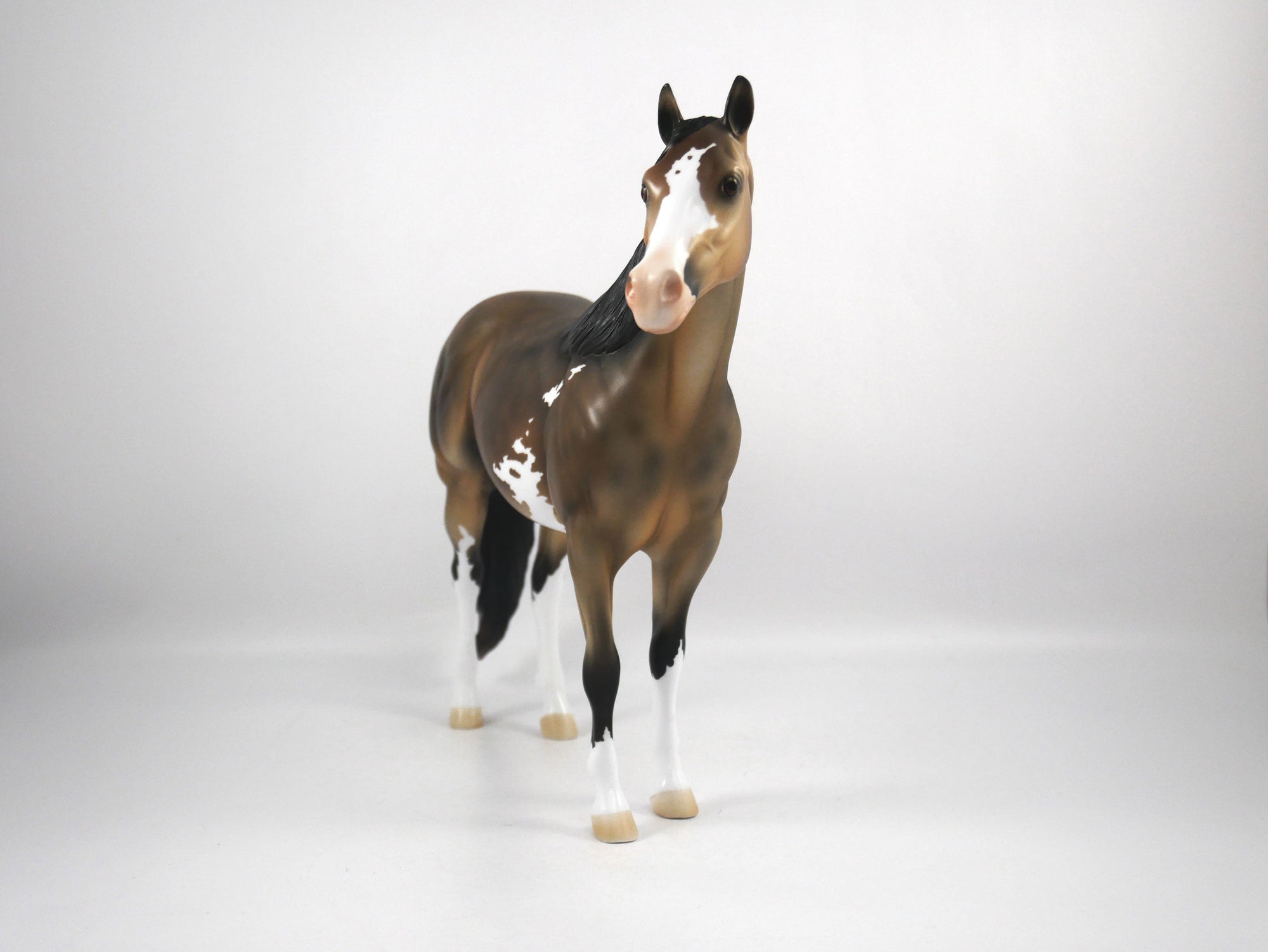 Clint-OOAK Buckskin ISH Paint by Ellen 1/29/21