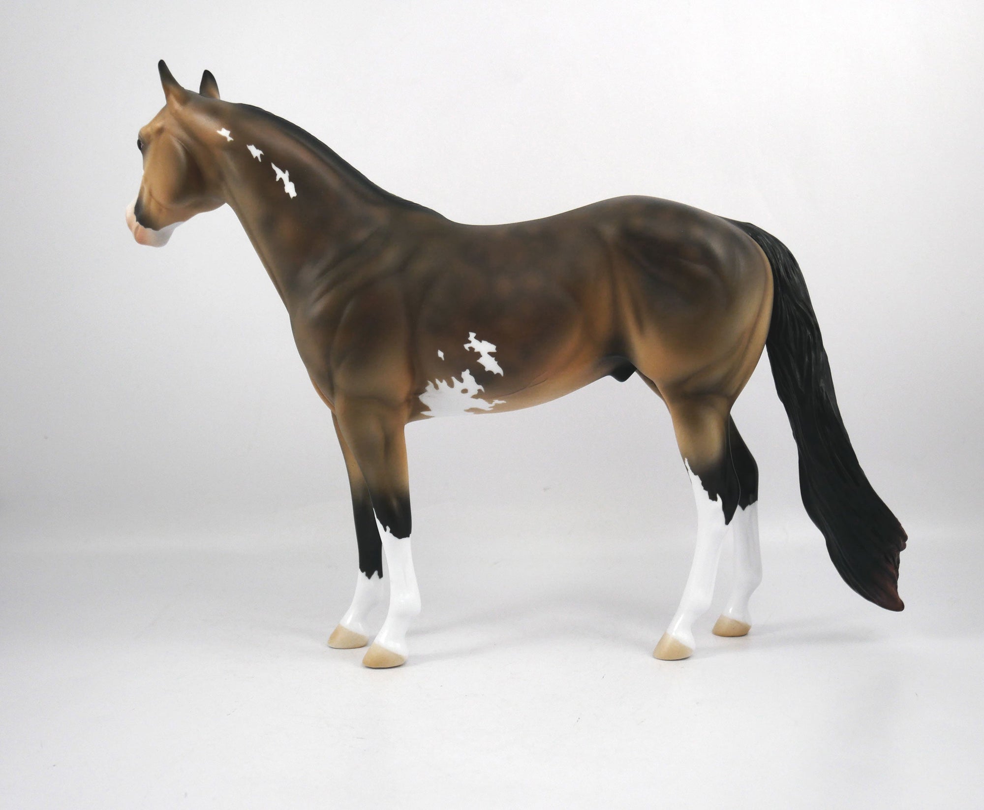 Clint-OOAK Buckskin ISH Paint by Ellen 1/29/21