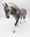 Cobham - OOAK Dapple Dark Grey Irish Draft By Caroline Boydston 11/21/22